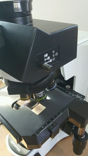 Olympus Microscope BX41 with PlanApos and Superwide
