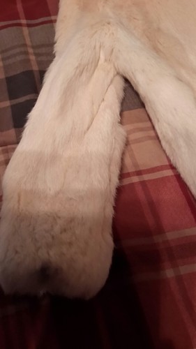 Vintage Womens Jacques Saint Laurent Ivory White Fur Coat Rabbit ? Project pc