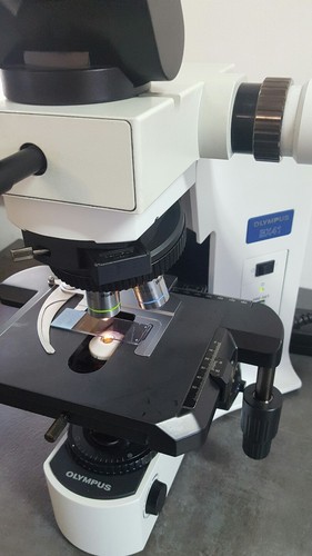 Olympus Microscope BX41 with 2X and side by side bridge MOHS Microscope