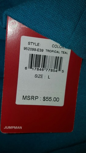 NWT $55 Air Jordan Jumpman Girls Crew Neck Sweatshirt Tropical Teal 952099-E39 L