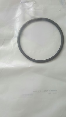 Genuine Astral O Ring VX or E series salt chlorinator housing cell pool 78104