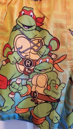 Teenage Mutant Ninja Turtles TMNT Boys Swim Trunks 3T- NWT