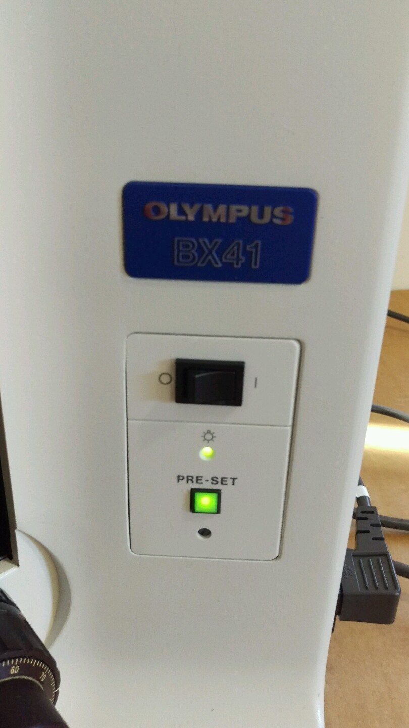 Olympus Microscope BX41 Front to Back Bridge, 2X Objective and HD Camera