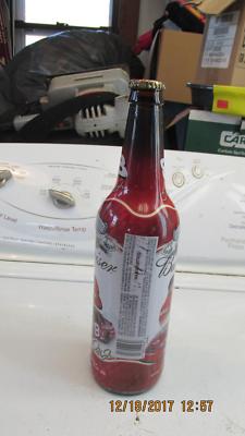 22 Oz Budweiser Dale Junior Bottle With scree On Lid