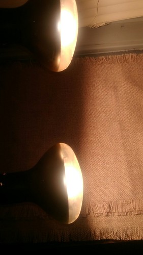 Vintage Bell & Howell Exposure Guide Dual Spot Bar 2 Bulbs Indoor Camera Movies