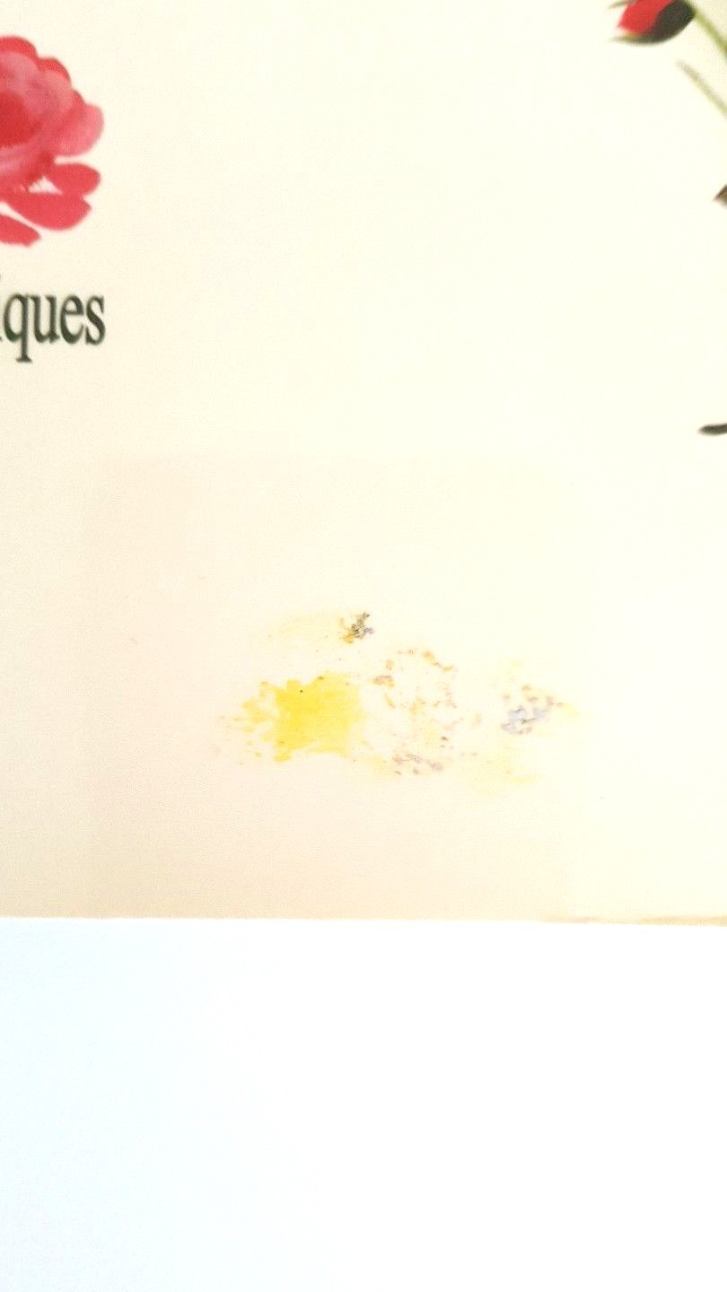 So You Want To Paint Roses Tole Decorative Painting Booklet Charlotte Carney