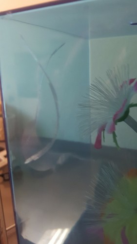 Vintage Fiber Optic Flower Color Changing Light Lamp Musical Taiwan 14 Inches