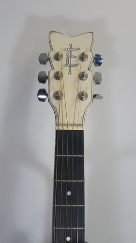 Estaban Rock On Accoustic Electric Guitar