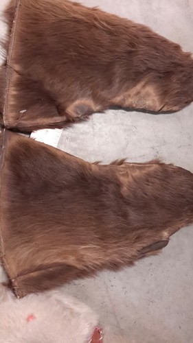 Lot of 2 - Antique Vintage Bear Fur Mountain Man Gauntlet Trapper Gloves