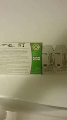 frontline plus for cats