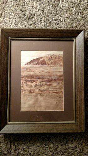 Vtg Antique Hawaii Banana Bark Art8by10