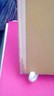 The Elder by Peter Bruegel (1938) HB Reproduction of Paintings 1st Ed. RARE art