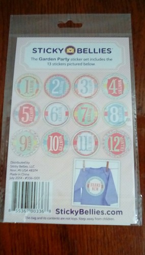 STICKY BELLIES Baby Monthly Photograph Stickers for Girl Garden Party Shower