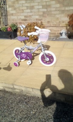 12" Kids Trax Bike with basket