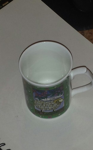 Collectible DUCHESS Fine Bone China  Mug / Cup made in EnglAnd Sheep Flower