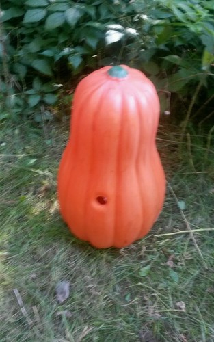 1 BLOW MOLD HALLOWEEN Smiling JACK O LANTERN sorry no light cord came with it?