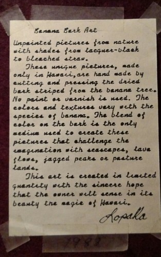 Vtg Antique Hawaii Banana Bark Art8by10