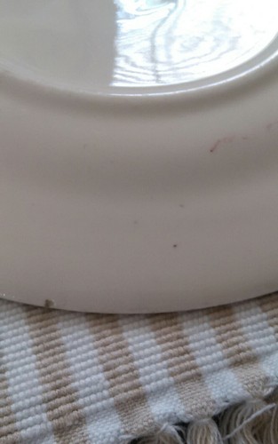 Homer Laughlin Brittany Majestic Bread Plate