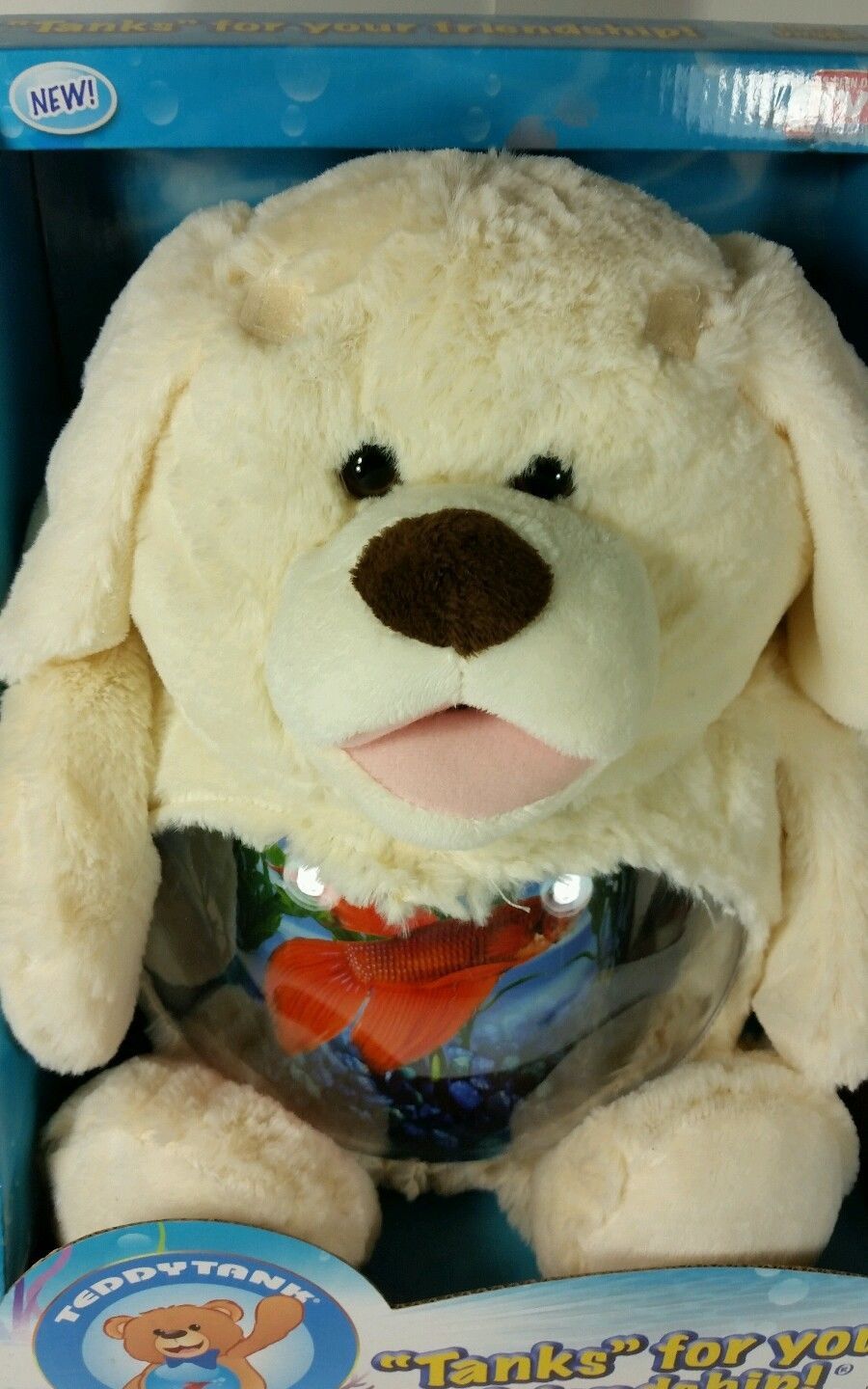 Teddy tank fish tank puppy