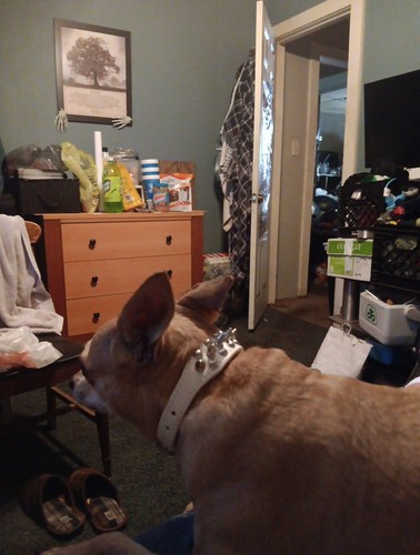 Fotos del artículo de un comprador verificado