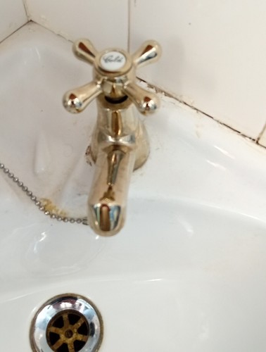 Fotos del artículo de un comprador verificado