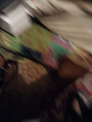 Objectfoto('s) van geverifieerde koper