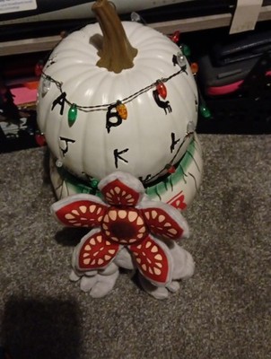 Photos de l'objet d'un acheteur vérifié