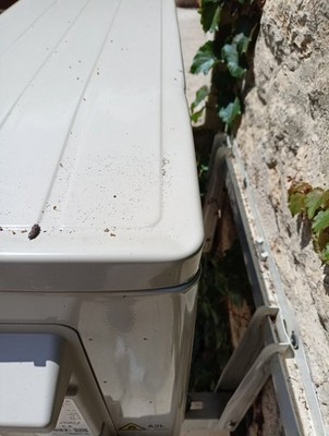 Fotos del artículo de un comprador verificado