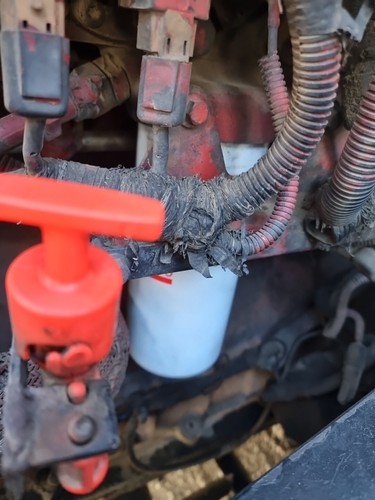 Fotos del artículo de un comprador verificado