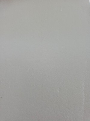 經驗證買家提供的物品圖片