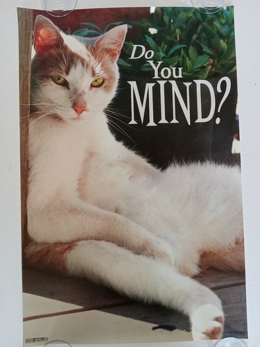 額縁 vintage cat poster Flame il_fullxfull.6245186857_bgft.jpg