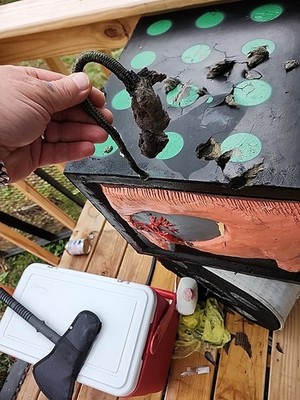 Item photo(s) from verified buyer