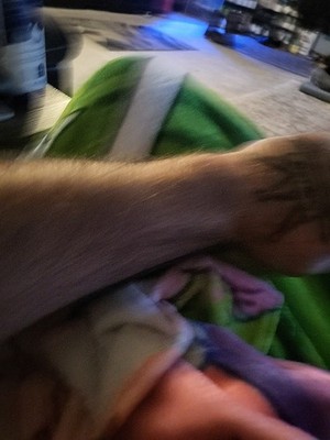 Objectfoto('s) van geverifieerde koper