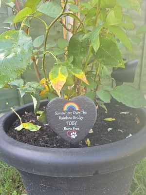 經驗證買家提供的物品圖片