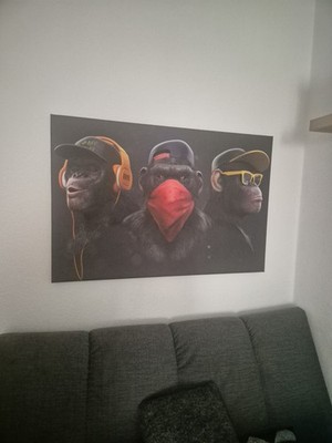 Fotos del artículo de un comprador verificado