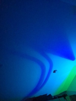 Fotos del artículo de un comprador verificado