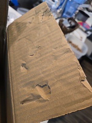 Item photo(s) from verified buyer