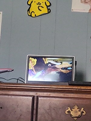 Fotos del artículo de un comprador verificado
