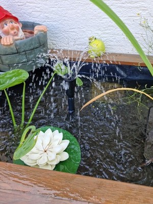 Artikelfoto(s) von einem verifizierten Käufer