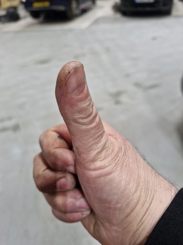 Artikelfoto(s) von einem verifizierten Käufer