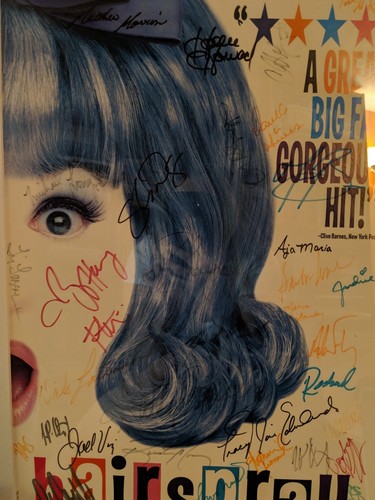 HAIRSPRAY Framed Poster Signed, Original Broadway Cast Members, Collectible mint