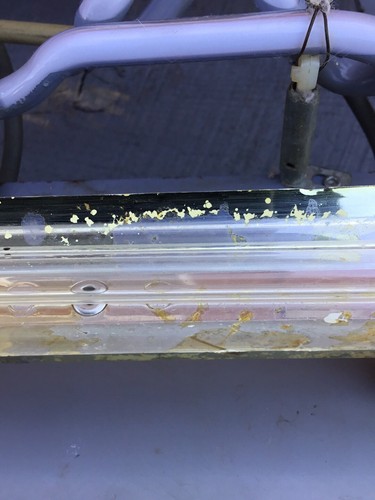 Vintage Beer Advertising Sign Old Style Special Dry Neon Light Bar Garage Decor