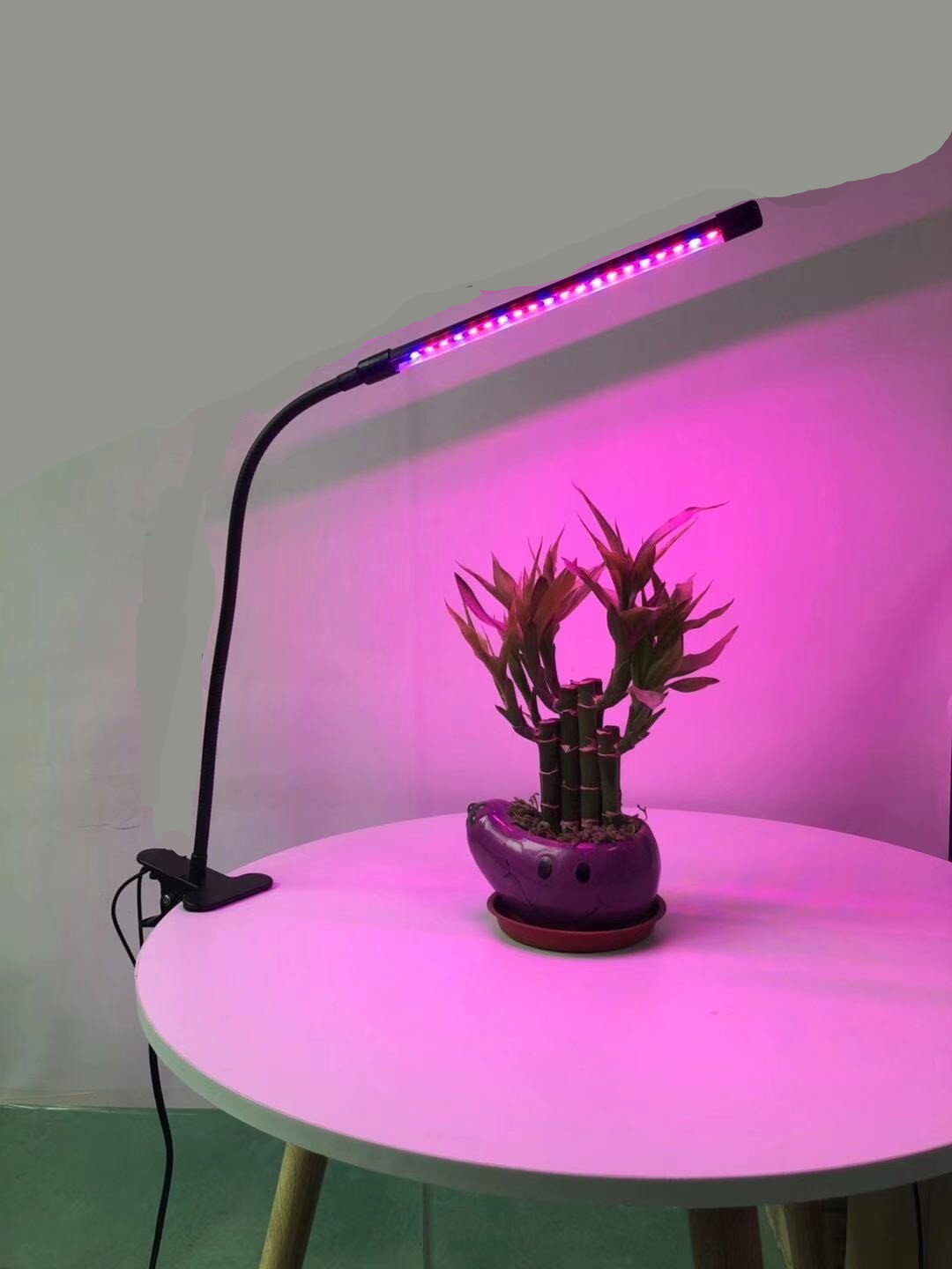 LED Grow Light Full Spectrum Phyto Lamp USB Clip-on Grow Lamp For Indoor