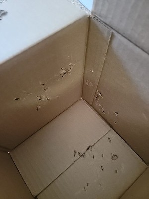 Foto dell'oggetto di un acquirente verificato