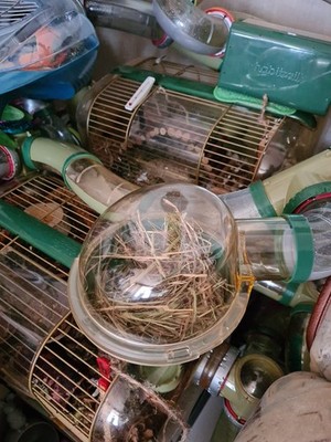 Objectfoto('s) van geverifieerde koper
