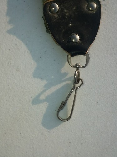 Rare? Old Guitar Strap