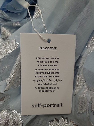 Pre-owned Self-portrait Self Portrait Blue Metallic Chiffon Maxi Dress Size 2