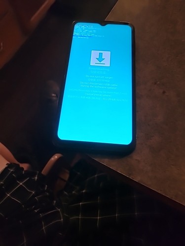 Foto dell'oggetto di un acquirente verificato