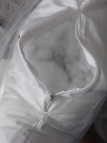 Decorator's Choice Luxury Pillow Form-18