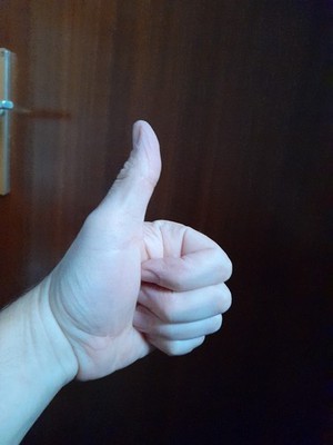 Artikelfoto(s) von einem verifizierten Käufer